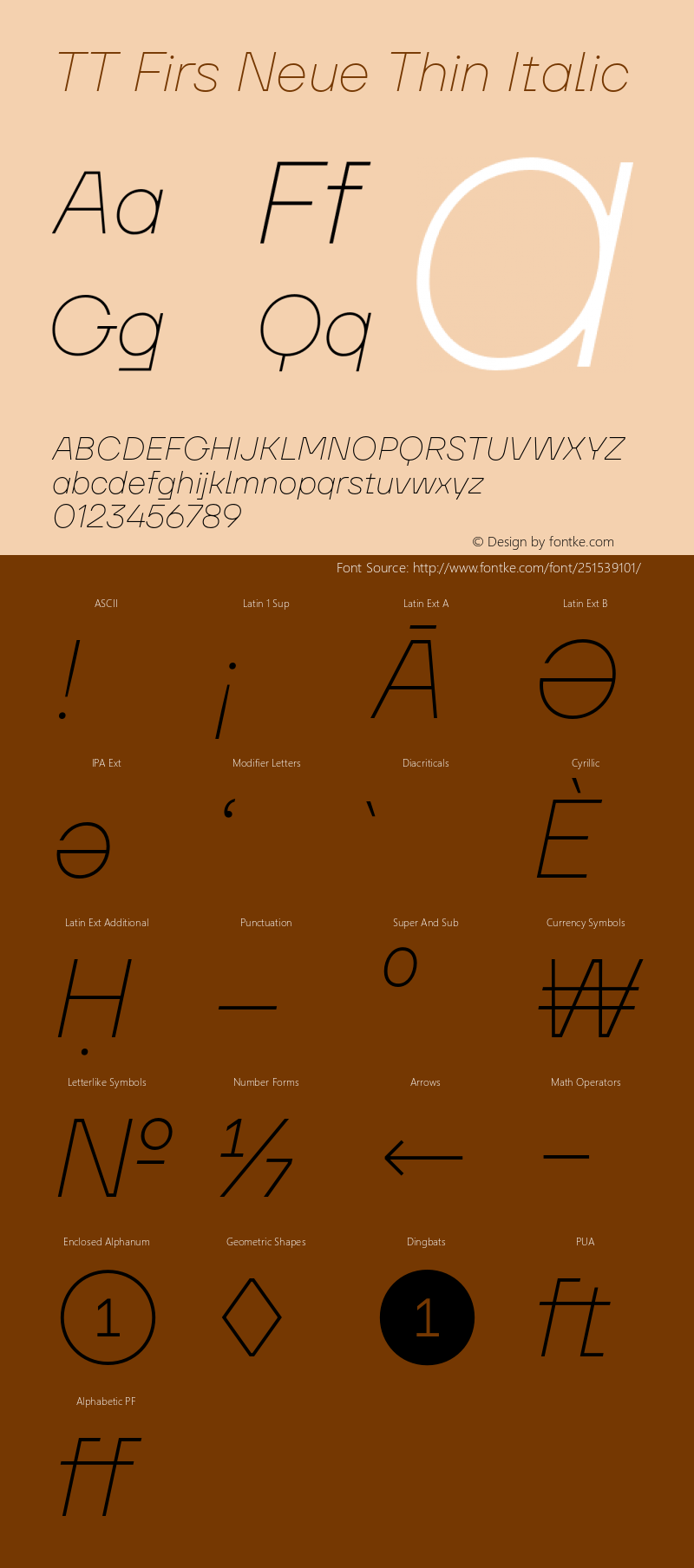 TT Firs Neue Thin Italic Version 2.000.26062023图片样张