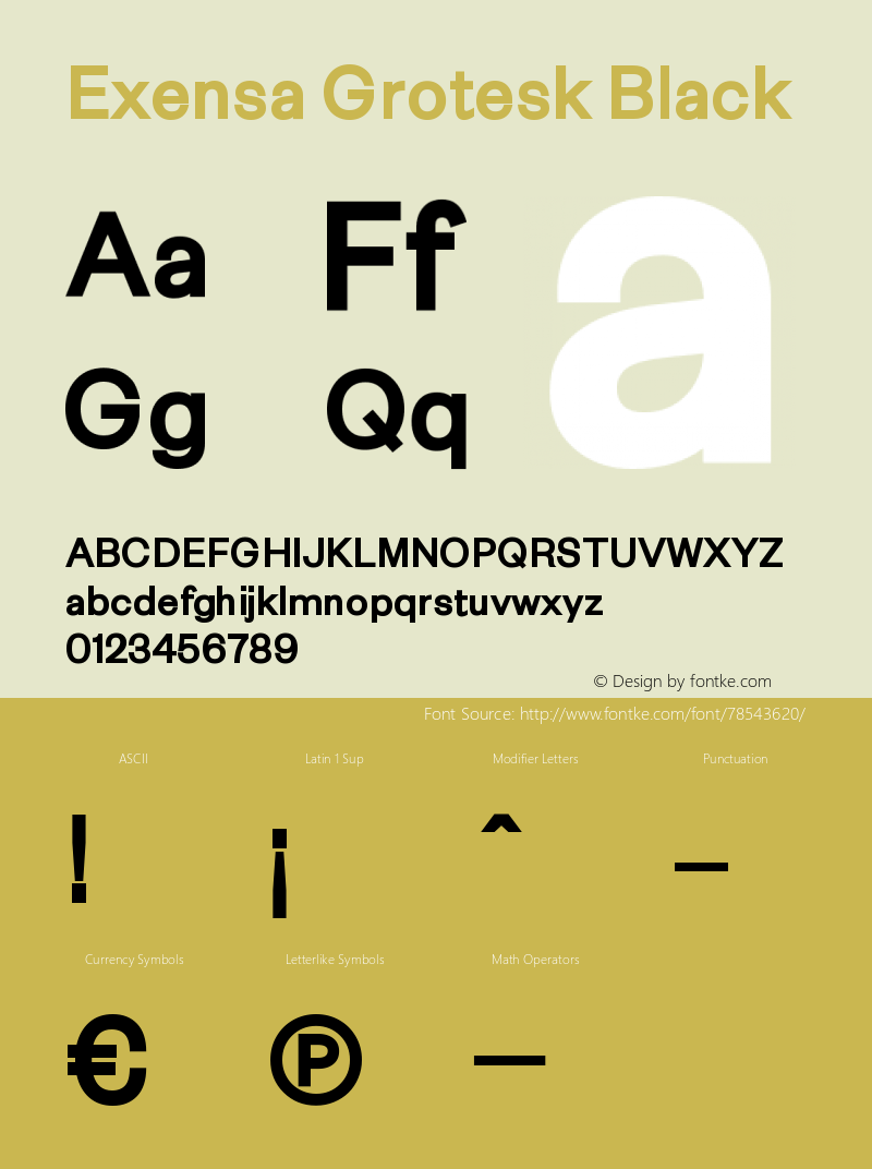 Exensa Grotesk Black Version 1.000;PS 001.000;hotconv 1.0.88;makeotf.lib2.5.64775 Font Sample