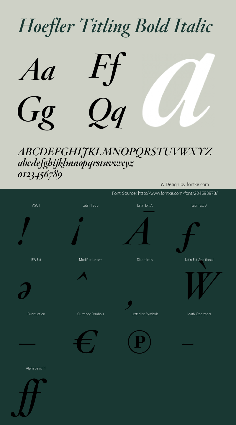 Hoefler Titling Bold Italic Version 1.301 | web-ttf图片样张