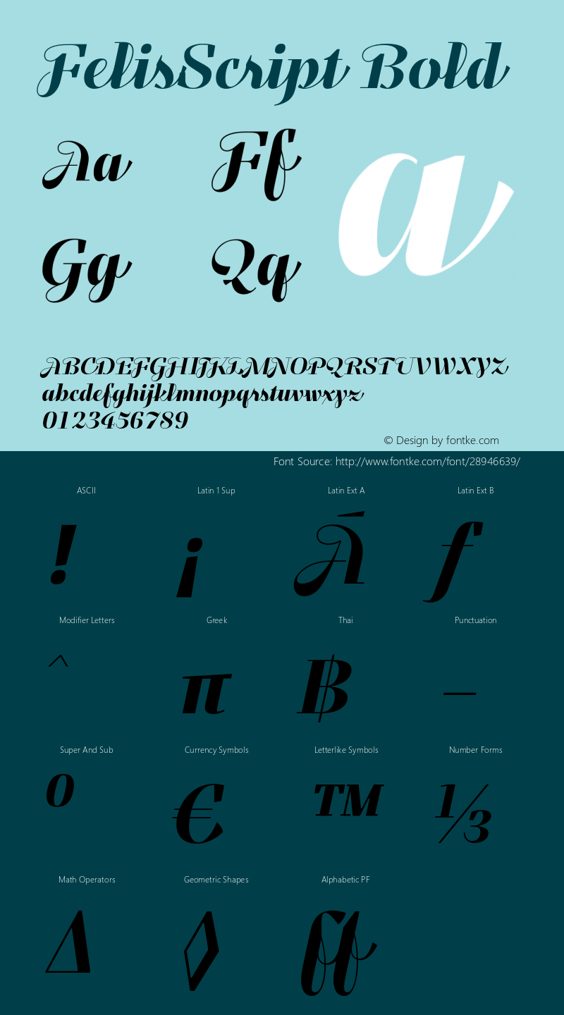 FelisScript-Bold Version 1.000;com.myfonts.easy.typomancer.felis-script.bold.wfkit2.version.4mf7 Font Sample