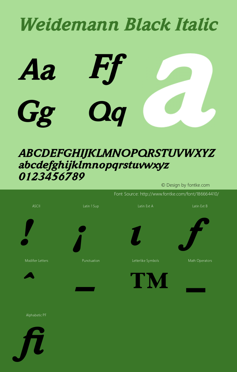 Weidemann-BlackItalic 001.002图片样张