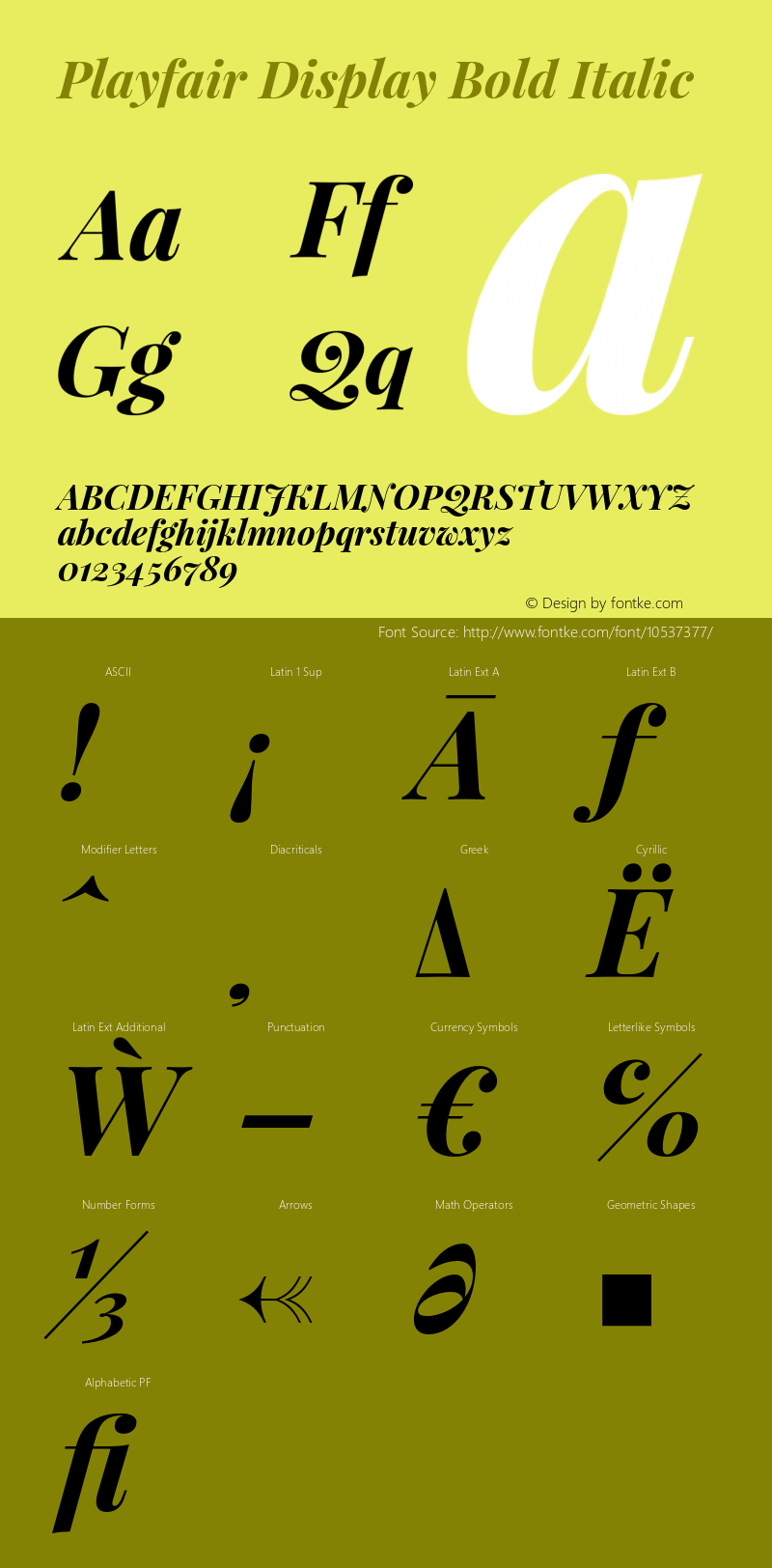 Playfair Display Bold Italic Version 1.004;PS 001.004;hotconv 1.0.70;makeotf.lib2.5.58329 Font Sample