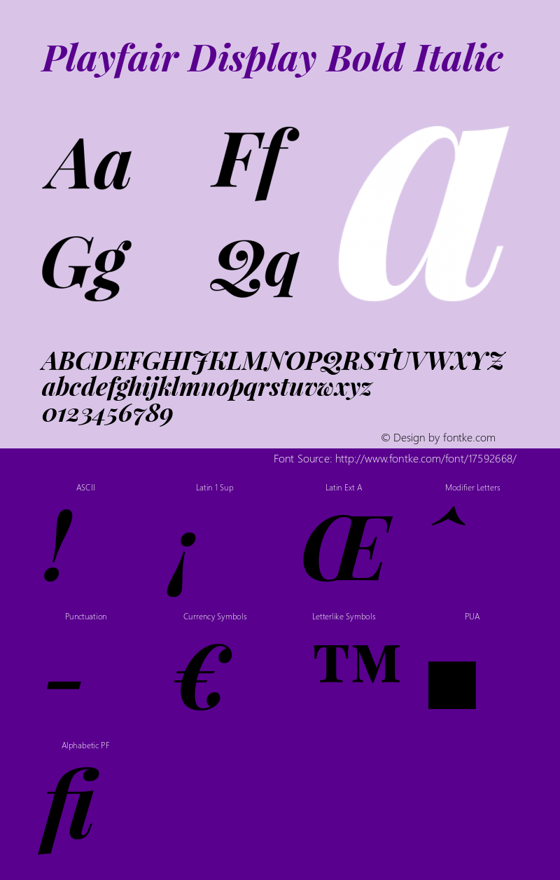 Playfair Display Bold Italic Version 1.002;PS 001.002;hotconv 1.0.70;makeotf.lib2.5.58329 Font Sample