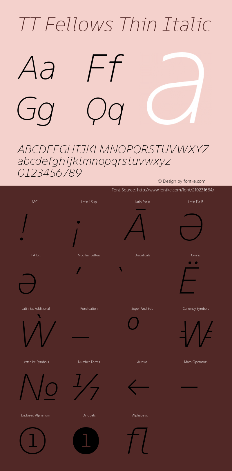 TT Fellows Thin Italic Version 1.000.13122021图片样张