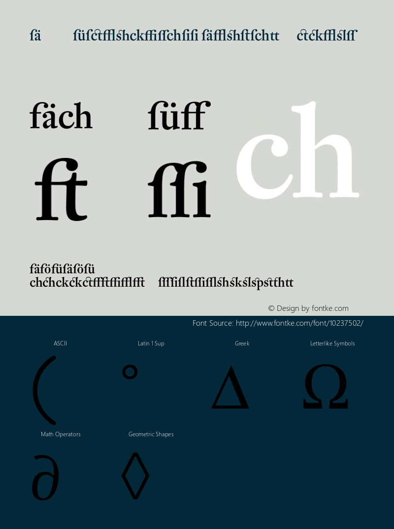 DTL Fleischmann Display Medium 001.001 Font Sample