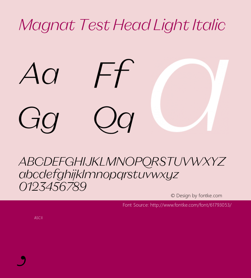 Magnat Test Head Light Italic Version 1.000;PS 001.000;hotconv 1.0.88;makeotf.lib2.5.64775 Font Sample