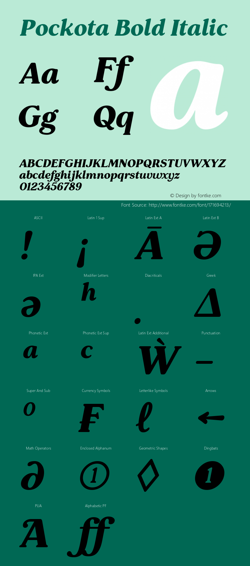 Pockota Bold Italic 1.000图片样张