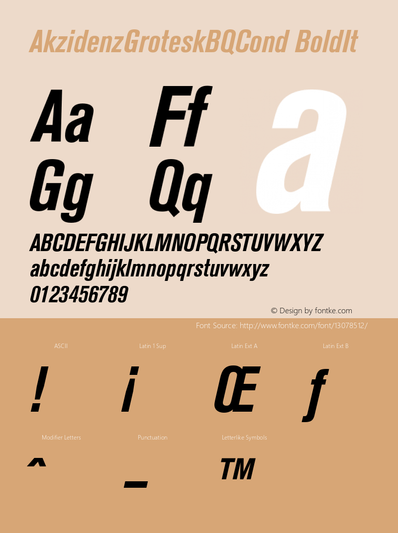 AkzidenzGroteskBQCond BoldIt Version 001.001 Font Sample