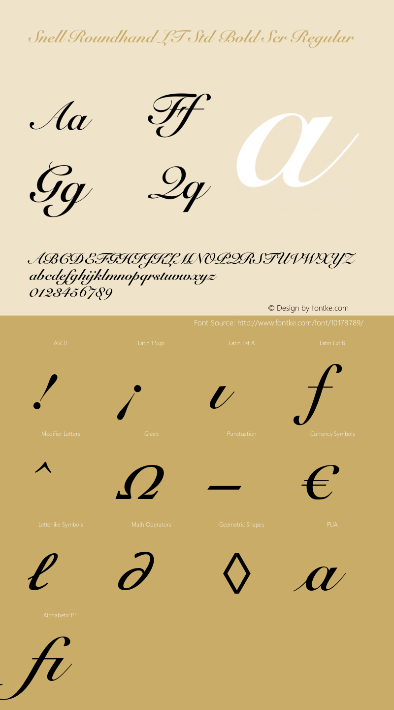 Snell Roundhand LT Std Bold Scr Regular OTF 1.029;PS 001.004;Core 1.0.33;makeotf.lib1.4.1585 Font Sample