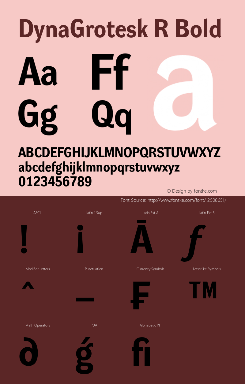 DynaGrotesk R Bold 001.000 Font Sample