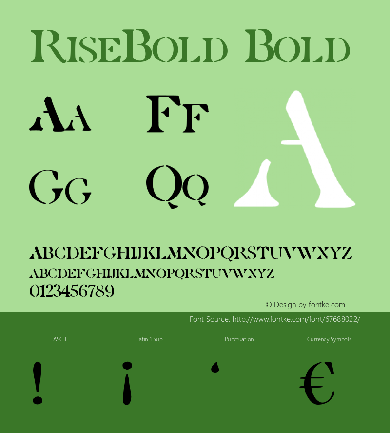 RiseBold Version 001.000 Font Sample