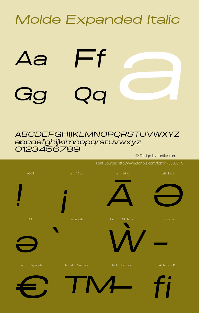 Molde Expanded Italic 1.000图片样张