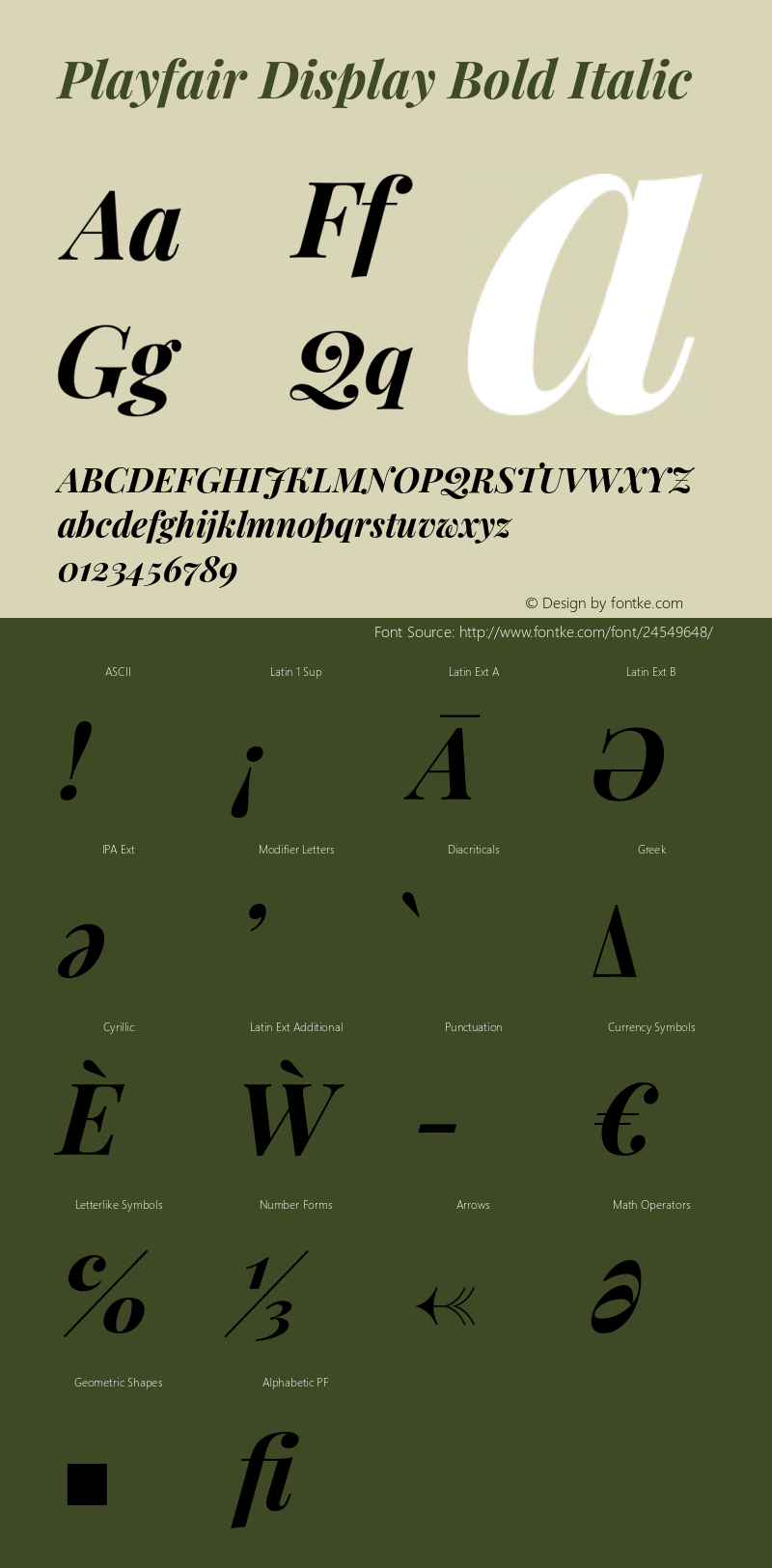 Playfair Display Bold Italic Version 1.201;PS 001.201;hotconv 1.0.88;makeotf.lib2.5.64775 Font Sample