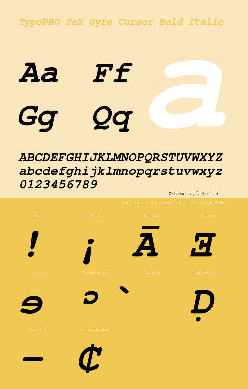 TypoPRO TeX Gyre Cursor Bold Italic Version 2.004;PS 2.004;hotconv 1.0.49;makeotf.lib2.0.14853 Font Sample