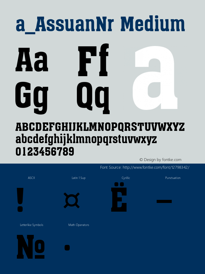 a_AssuanNr Medium 001.001 Font Sample