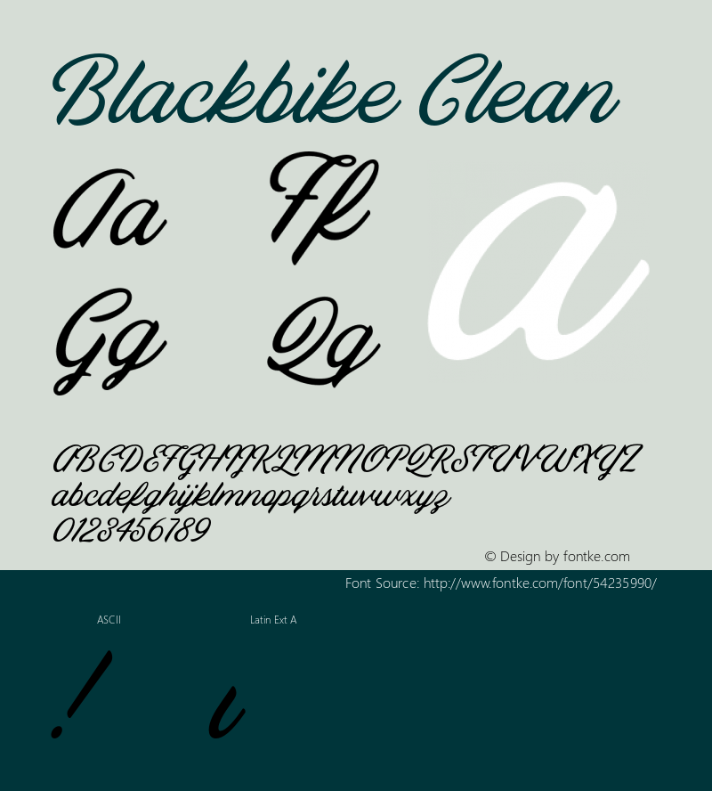 Blackbike Clean Version 1.000;PS 001.000;hotconv 1.0.88;makeotf.lib2.5.64775 Font Sample