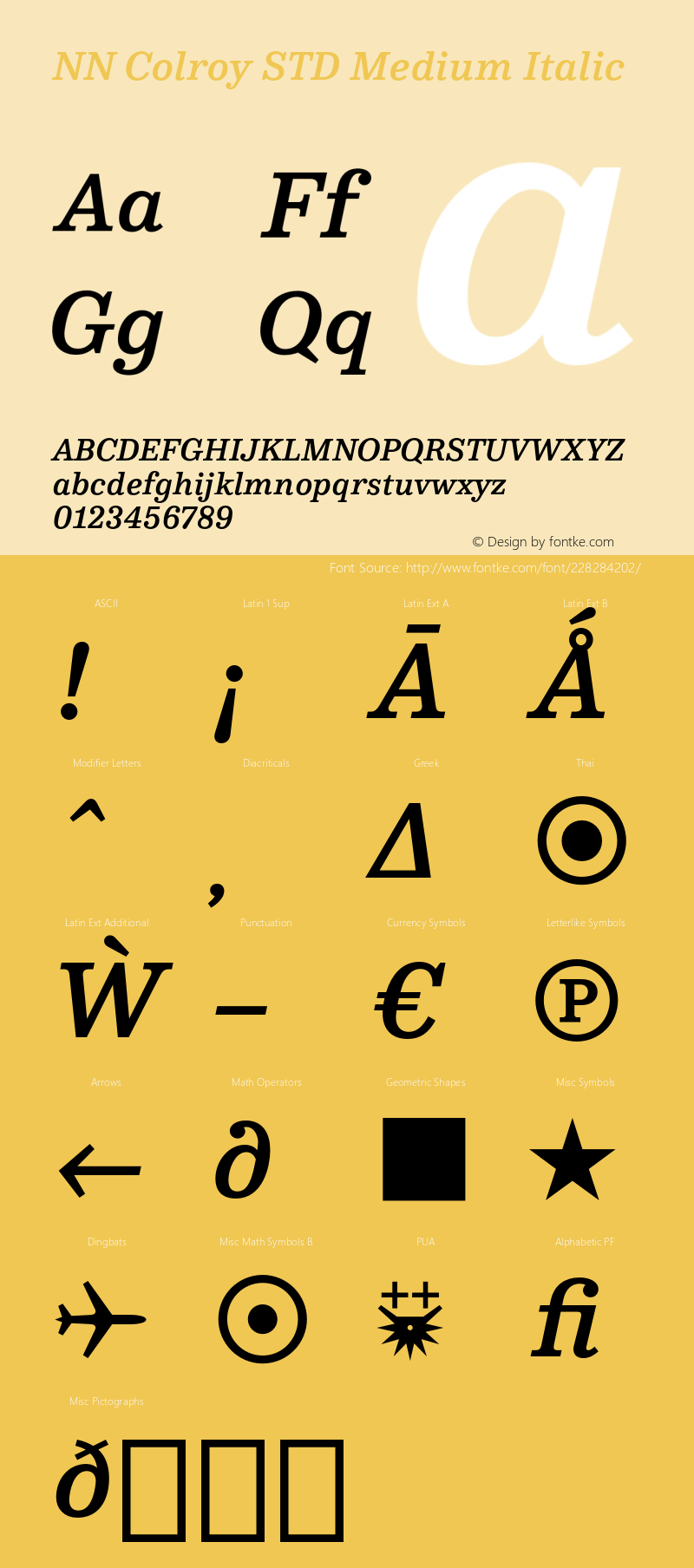 NN Colroy STD Medium Italic Version 2.000;FEAKit 1.0图片样张