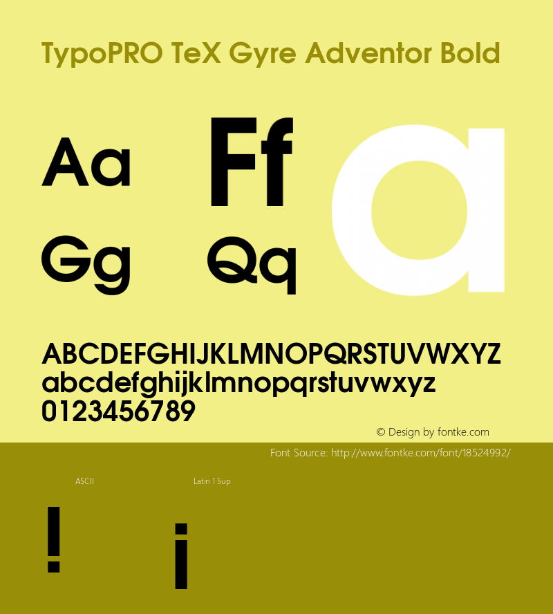 TypoPRO TeX Gyre Adventor Bold Version 2.003;PS 2.003;hotconv 1.0.49;makeotf.lib2.0.14853 Font Sample