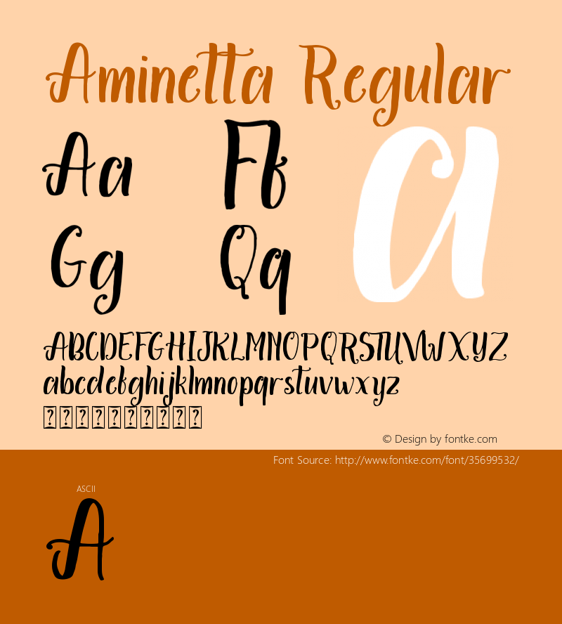 Aminetta Version 1.00;August 4, 2019;FontCreator 11.5.0.2430 64-bit Font Sample