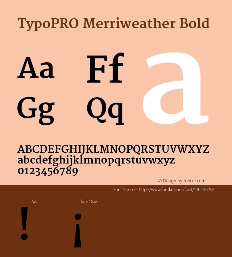 TypoPRO Merriweather Bold Version 1.003 Font Sample