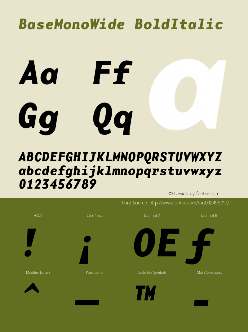 BaseMonoWide BoldItalic Version 1.00 Font Sample