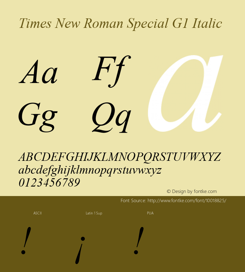 Times New Roman Special G1 Italic Version 1.03 Font Sample