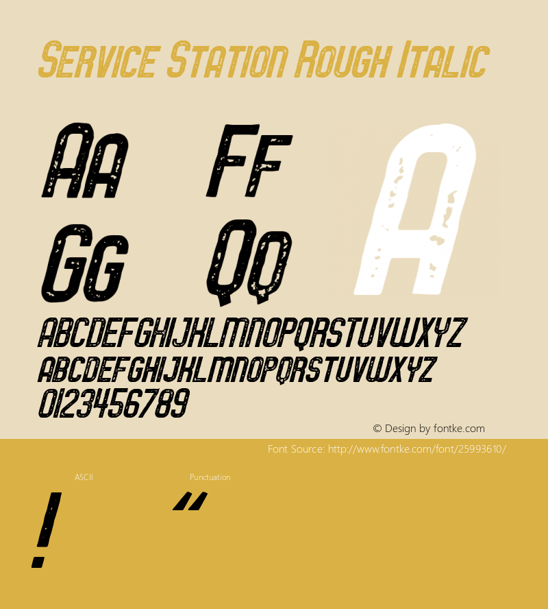 Service Station Rough Italic Version 1.000;PS 001.000;hotconv 1.0.88;makeotf.lib2.5.64775 Font Sample