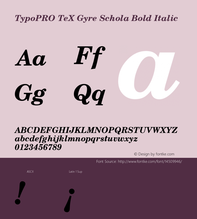 TypoPRO TeX Gyre Schola Bold Italic Version 2.005;PS 2.005;hotconv 1.0.49;makeotf.lib2.0.14853 Font Sample