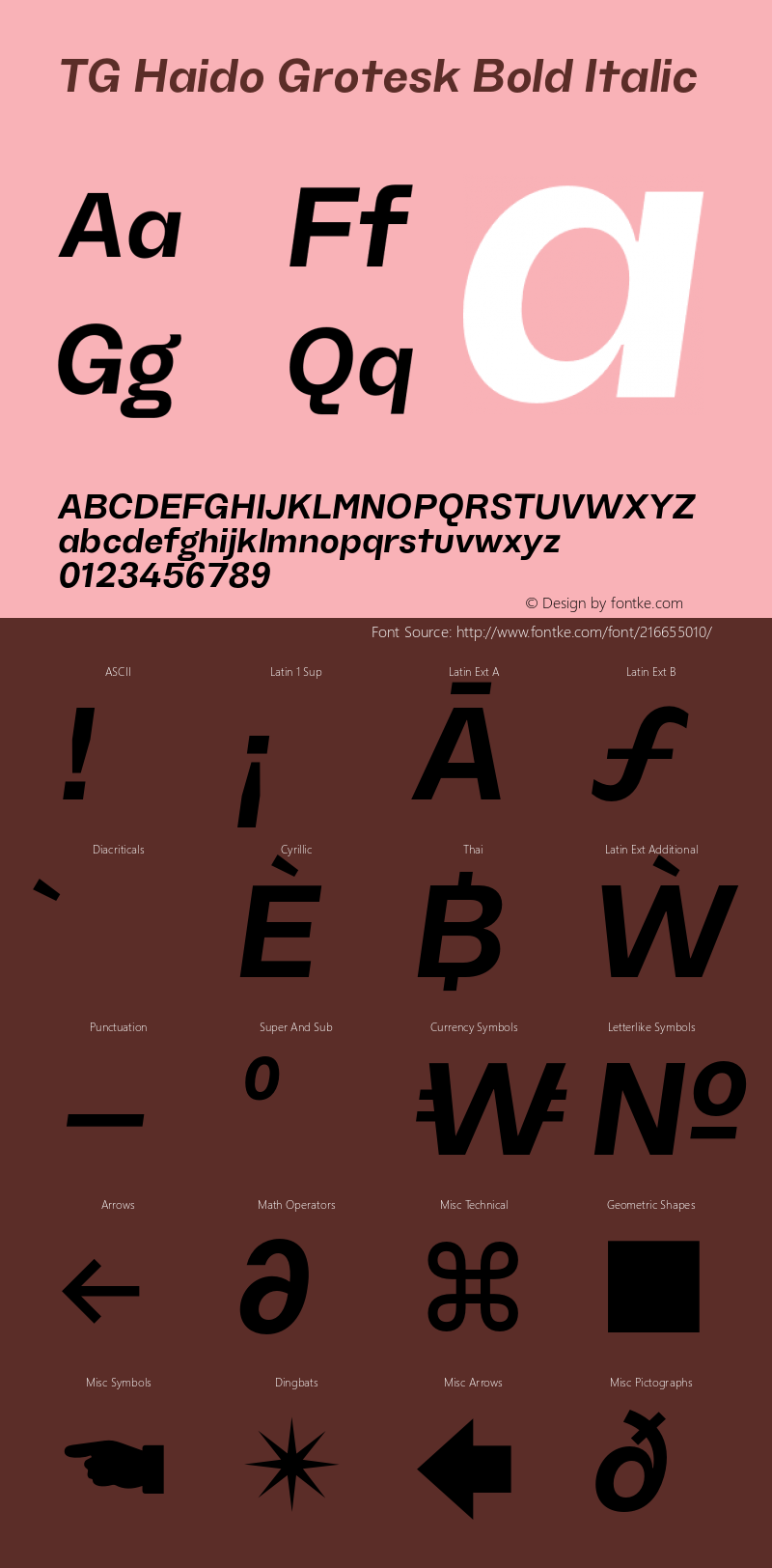 TG Haido Grotesk Bold Italic Version 1.000;hotconv 1.0.109;makeotfexe 2.5.65596图片样张