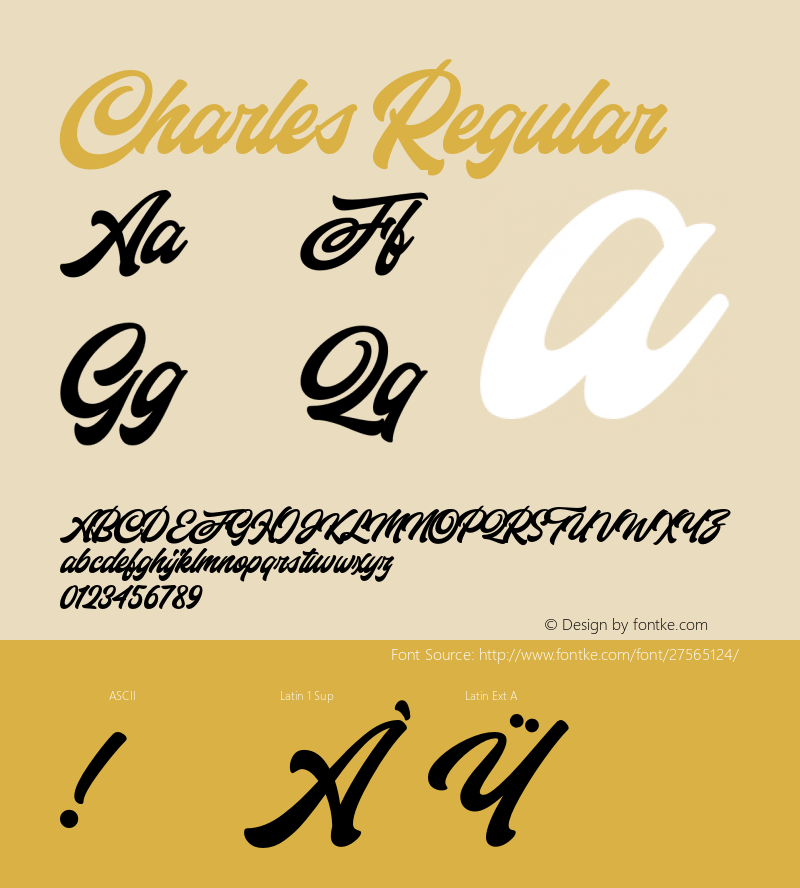 CharlesRegular Version 1.000;YWFTv17 Font Sample