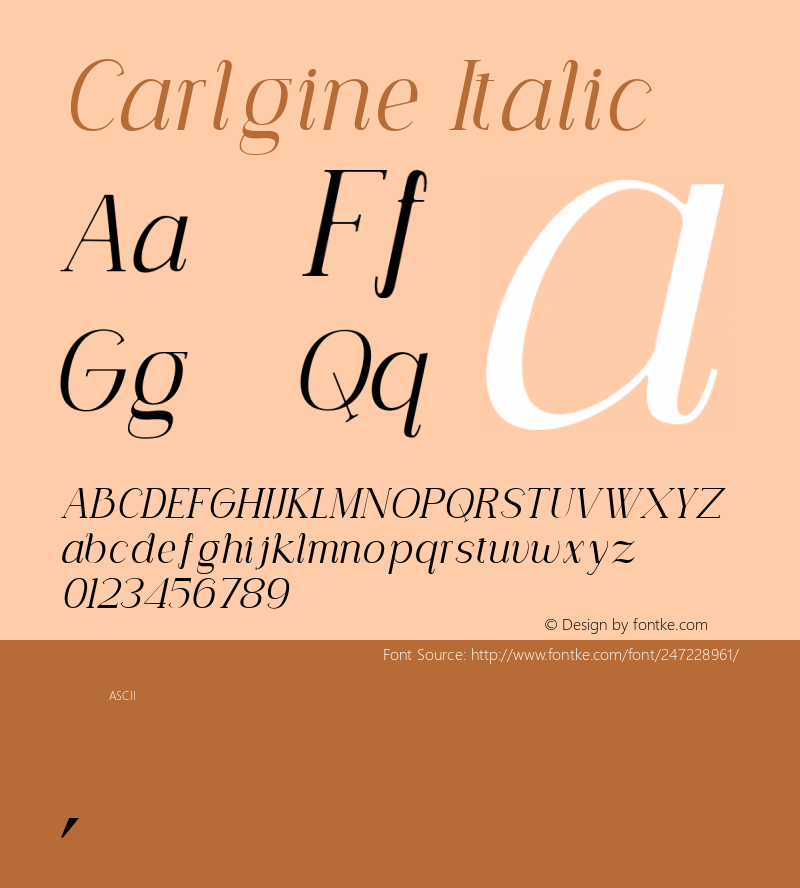 Carlgine Italic Version 1.000图片样张