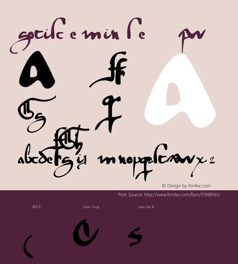 gotische minuskel1269pw Version 1.000 2005 initial r Font Sample