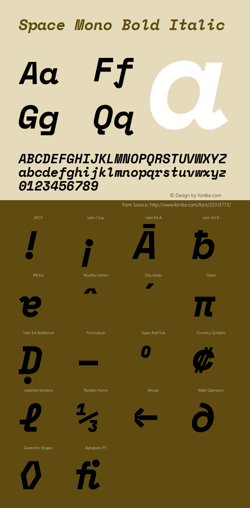 Space Mono Bold Italic Version 1.001;PS 1.001;hotconv 1.0.81;makeotf.lib2.5.63406 Font Sample