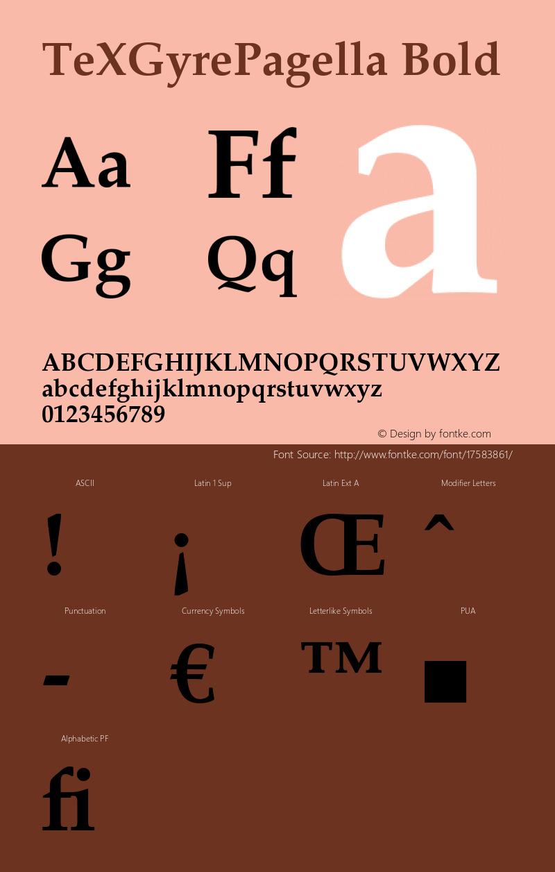 TeXGyrePagella Bold Version 1.103;PS 1.103;hotconv 1.0.49;makeotf.lib2.0.14853 Font Sample