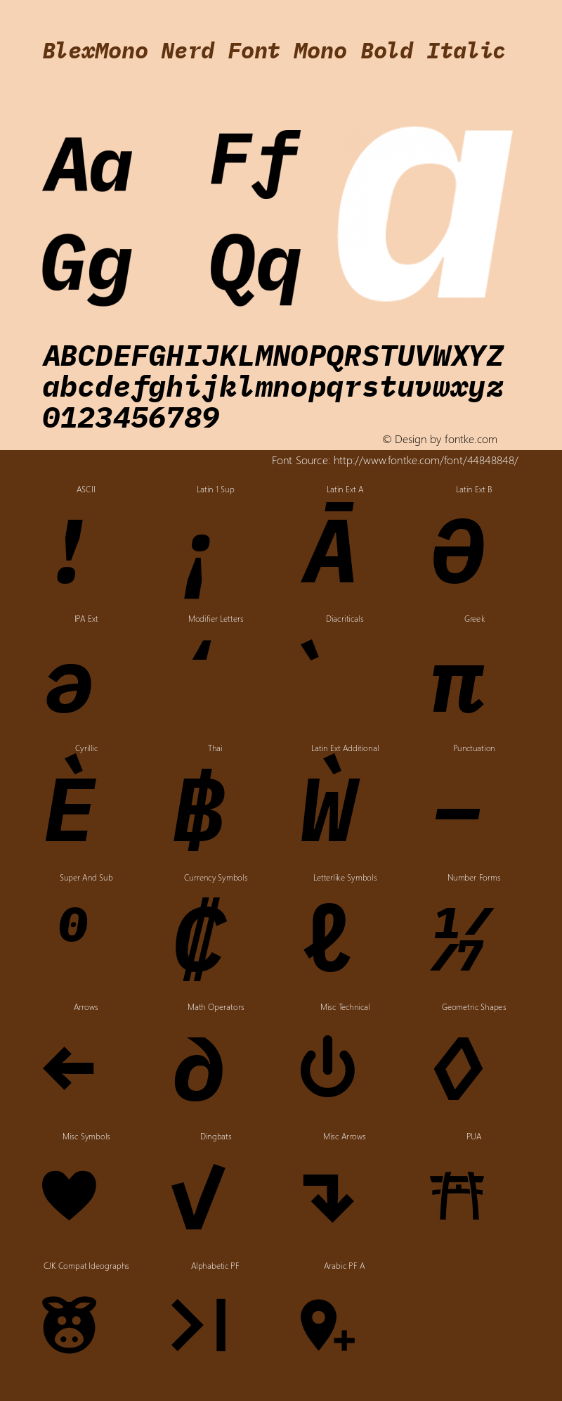 Blex Mono Bold Italic Nerd Font Complete Mono Version 2.000 Font Sample