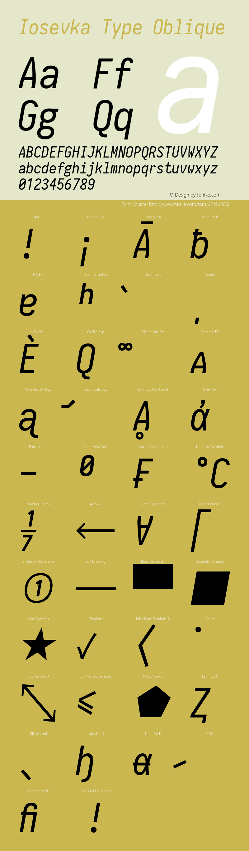 Iosevka Type Oblique 1.13.1; ttfautohint (v1.6) Font Sample