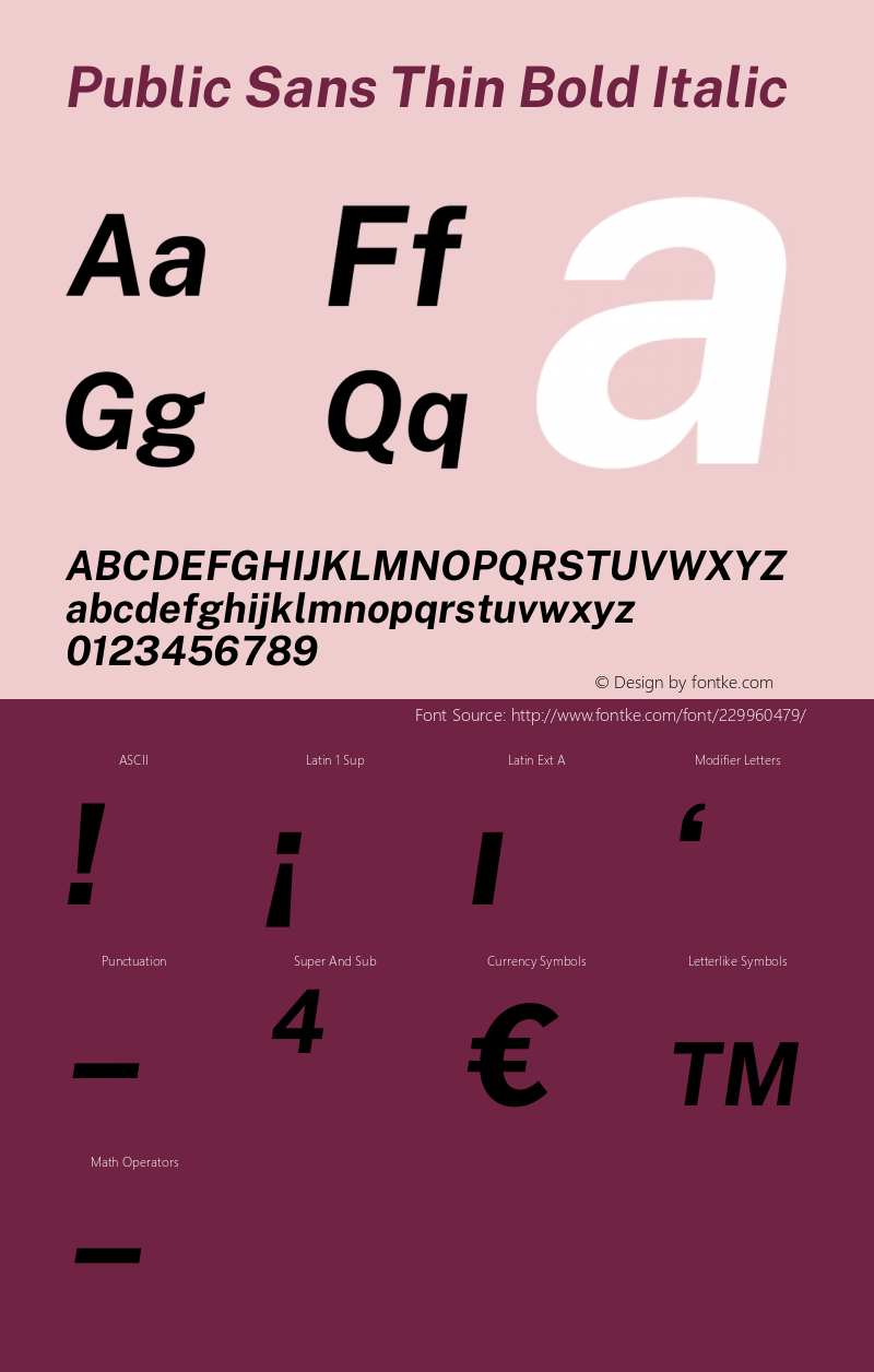 Public Sans Thin Bold Italic Version 1.007图片样张