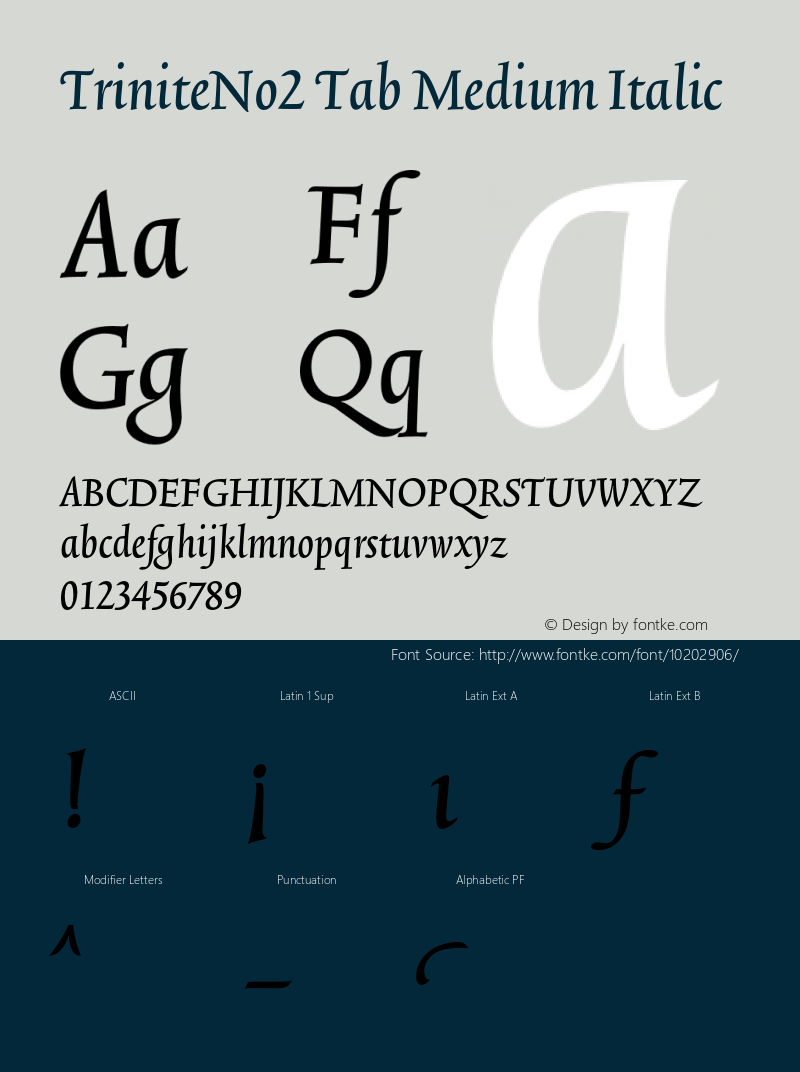 TriniteNo2 Tab Medium Italic 001.000 Font Sample