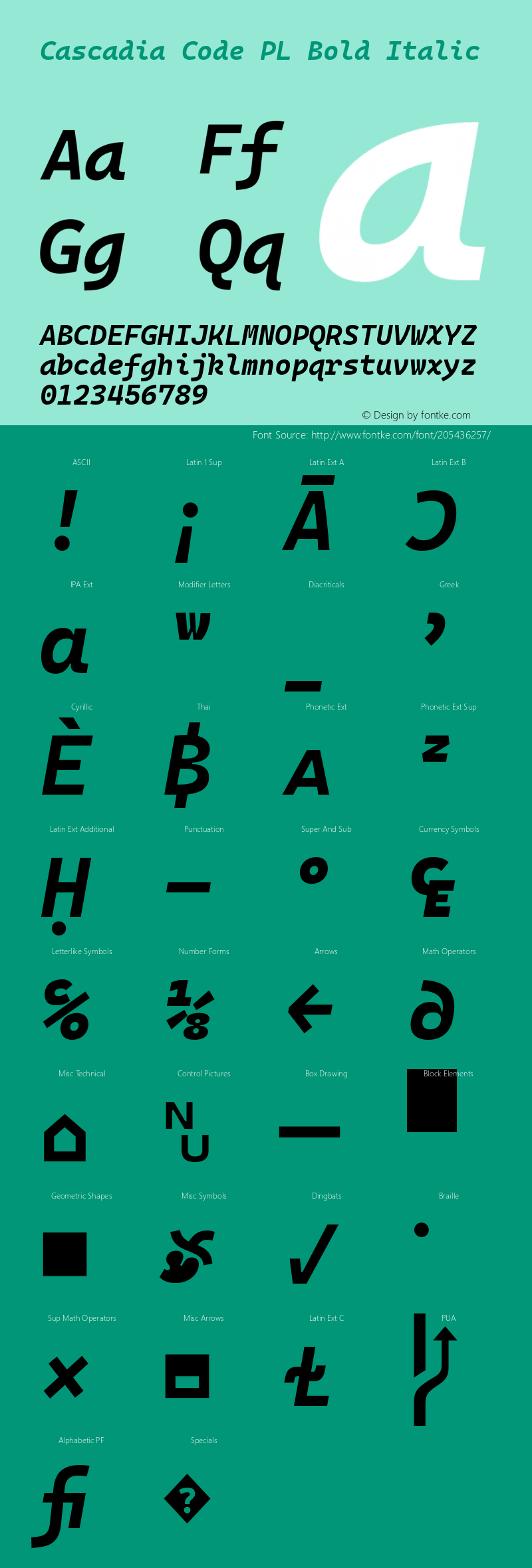 Cascadia Code PL Bold Italic Version 2111.001图片样张