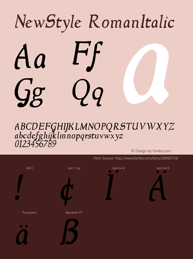 NewStyle Italic Version 1.00 Font Sample