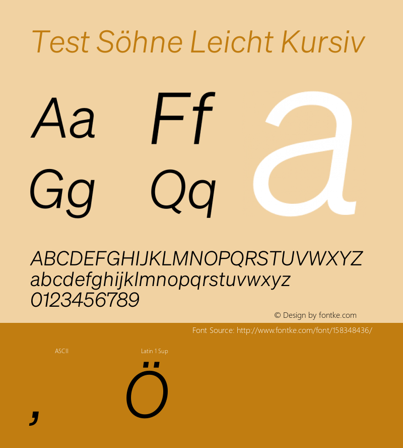 Test Söhne Leicht Kursiv Version 1.108;hotconv 1.0.116;makeotfexe 2.5.65601 Font Sample