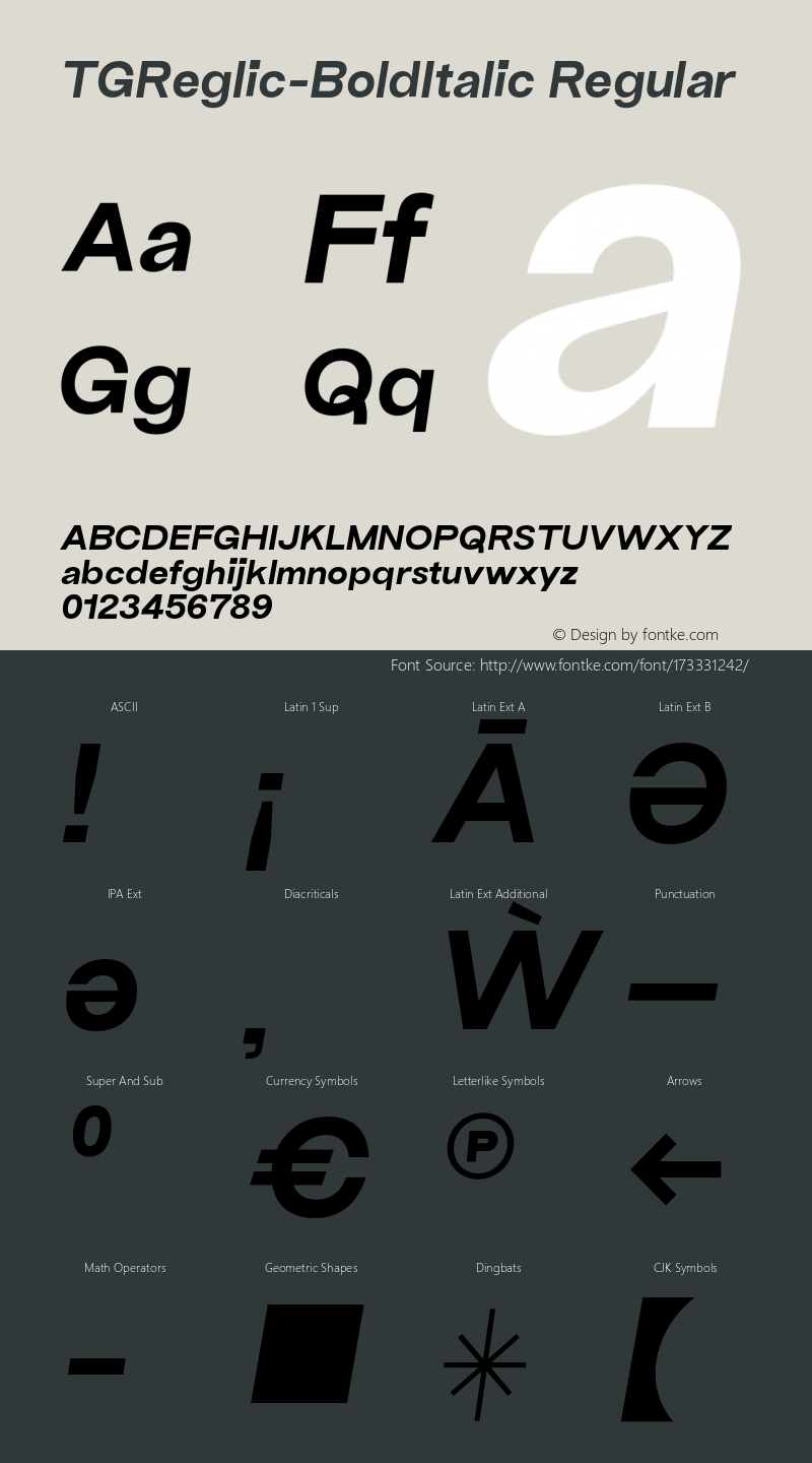 TG Reglic W05 Bold Italic Version 2.00图片样张