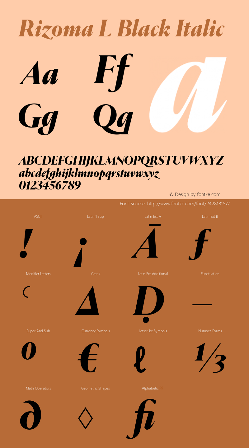 Rizoma L Black Italic Version 1.001图片样张