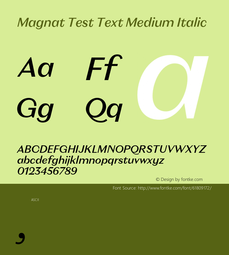 Magnat Test Text Medium Italic Version 1.000;PS 001.000;hotconv 1.0.88;makeotf.lib2.5.64775 Font Sample