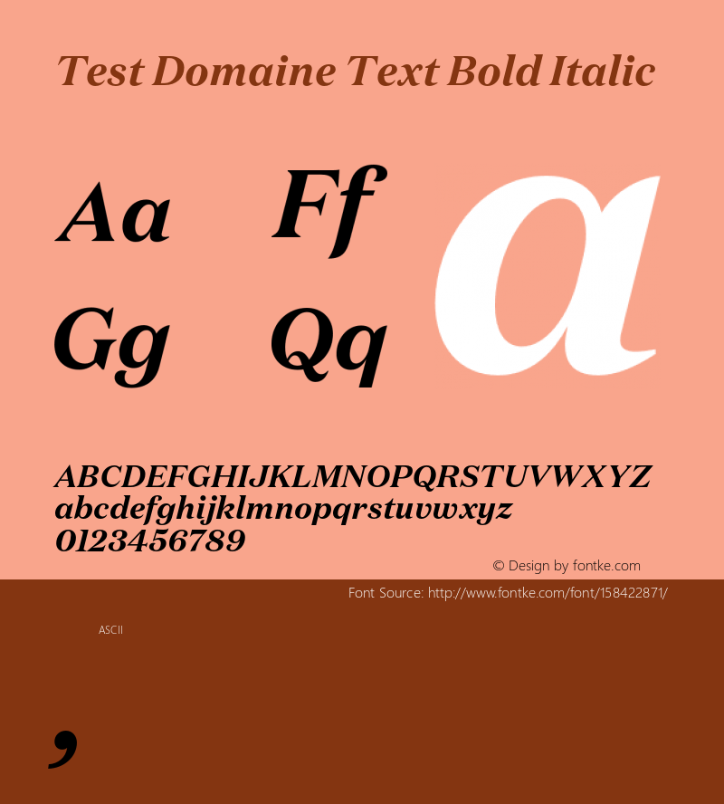 Test Domaine Text Bold Italic Version 1.004;PS 1.000;hotconv 16.6.54;makeotf.lib2.5.65590 Font Sample