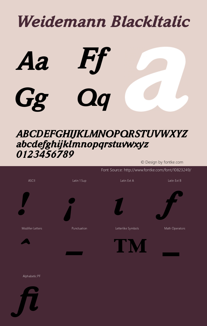 Weidemann BlackItalic Version 001.002 Font Sample