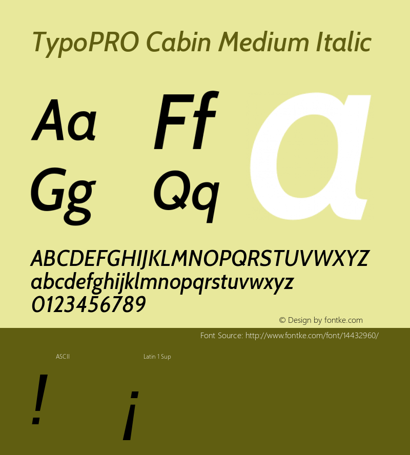 TypoPRO Cabin Medium Italic Version 1.005 Font Sample