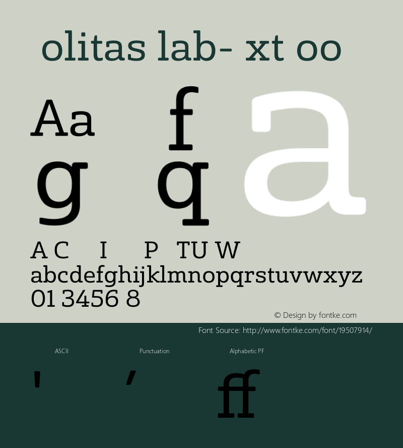 ☞SolitasSlab-ExtBoo 1.000;com.myfonts.easy.insigne.solitas-slab.ext-book.wfkit2.version.4sRe Font Sample