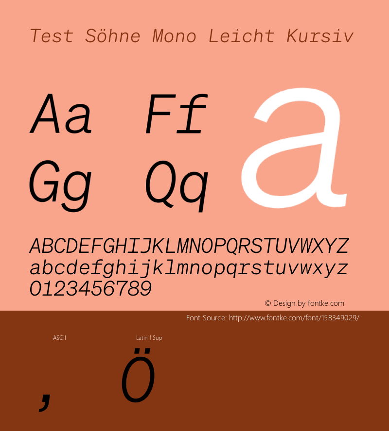Test Söhne Mono Leicht Kursiv Version 1.108;hotconv 1.0.116;makeotfexe 2.5.65601 Font Sample
