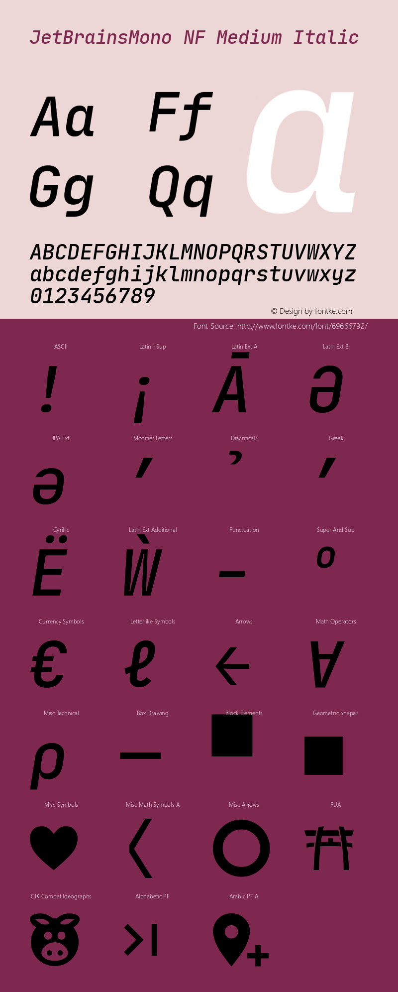 JetBrains Mono Medium Italic Nerd Font Complete Windows Compatible Version 1.0.5 Font Sample